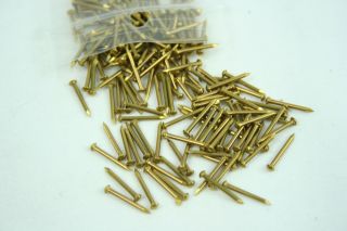 18 X 1/2 " Solid Brass Nails 1oz Pkg Black Powder Muzzleloading