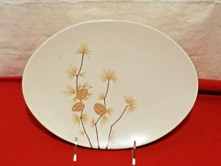Vintage Boontonware Pine Cone Oval Platter / Plate Melmac Melamine 11 " Long