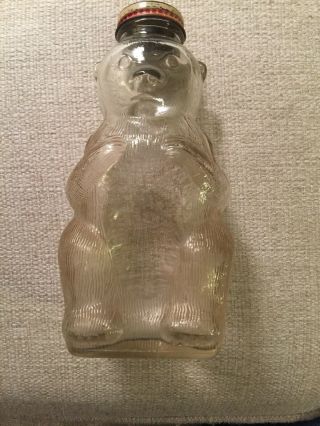 Vintage 1950s Glass Bear Piggy Bank Snow Crest Beverages With Lid,  Salem Mass