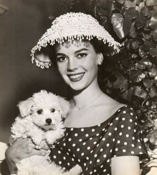 Natalie Wood 61 - Year - Old 7x6 " Unique Vintage Photo 1958