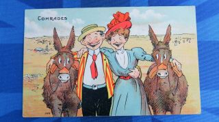 Vintage Comic Postcard 1907 Seaside Beach Donkey Comrades