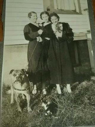 Vintage Photo Bullmastiff 1920s Bull Mastiff Kitten Flapper Girls Vtg