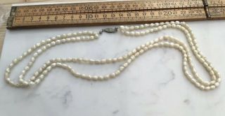 A Vintage Freshwater Pearl Bead Necklace With White Metal Clasp