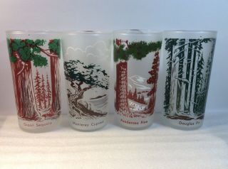Vintage Frosted Libby Tree Drinking Glasses,  Set Of 4