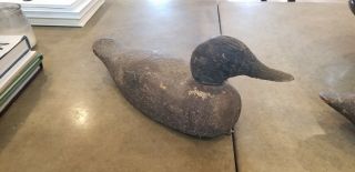 Vintage Wooden Decoy Duck,  One Glass Eyes