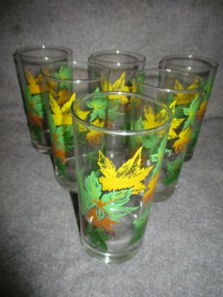 6 Vintage Salem Autumn Maple Leaf Tall 5 1/2 " Glasses Beverage Tea Water