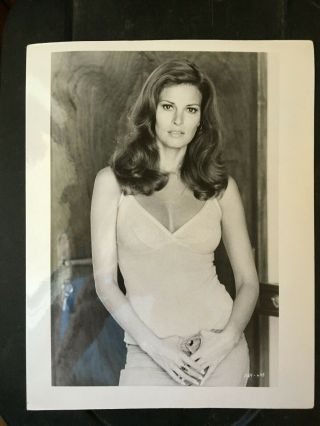 Raquel Welch Vintage Press Headshot Photo.  Long Brown Hair