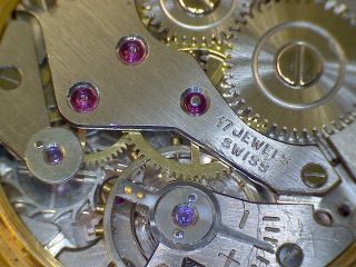Vintage 1950s Swiss Eloga Rolled Gold Ladies 17 Rubis Mechanical Wristwatch 4