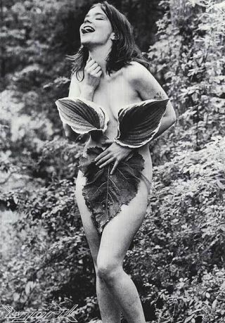 Music Poster Bjork Nude " Nymph In Forest " 22x32 1990 