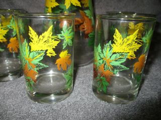 Vtg Juice 6 Glasses Salem Autumn Maple Leaf