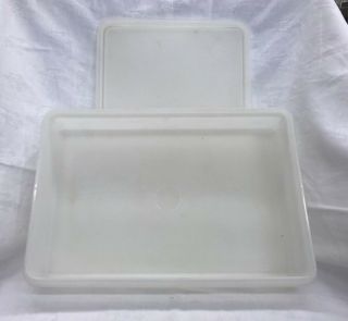VINTAGE TUPPERWARE SHEER RECTANGLE CONTAINER 290 W/ LID 291 COLD CUTS 13X9 5