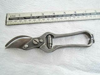 Vintage Small Ladies 7 " Pruning Secateurs Sheffield Made Old Tool