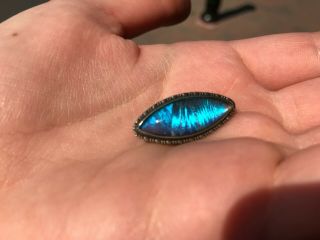 Stunning Vintage Sterling Silver Butterfly Wing Oval Brooch Colour