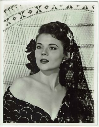 Peggie Castle American Actress Vintage Portrait Photograph 10 X 8 1