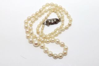 A Vintage Sterling Silver 925 Marcasite Clasp Cultured Pearl Necklace