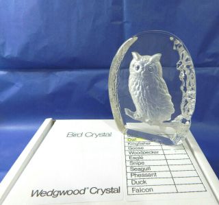 Wedgwood Glass Crystal Owl Bird Paperweight Sculpture Vintage Boxed