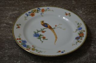 Vintage Mz Altrohlau Cmr Golden Pheasant Porcelain Dinner Plate 9 3/4 " Czechosl