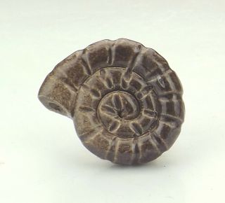 Vintage Poole Pottery - Ammonite Formed Brooch Or Badge - Unusual