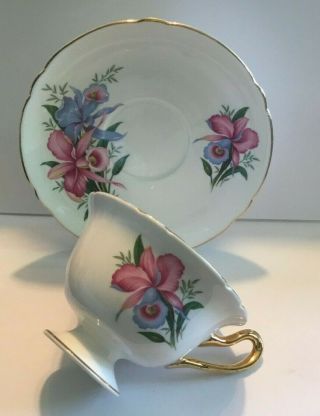 Vintage Shelley " Orchid " Bone China Tea Cup & Saucer Pattern No.  2384