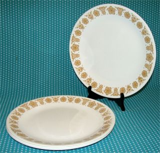 Set Of 4 Vtg Corelle Corning Butterfly Gold Dinner Plates 10 ¼ "