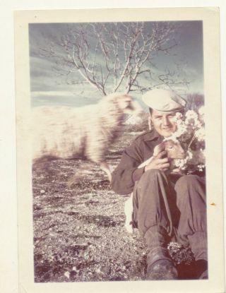 Awesome Motion Blur - Man With Sheep - 1960 Vintage Photo Mistake Abstract