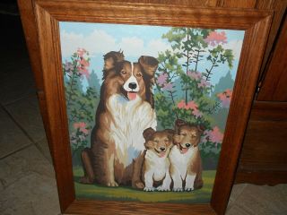 Vintage Handpainting By Numbers Picture Dog Collie16 X 20 W/frame 19 X 23