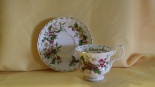 Vintage Royal Albert Flower Of The Month (montrose) December Tea Cup & Saucer
