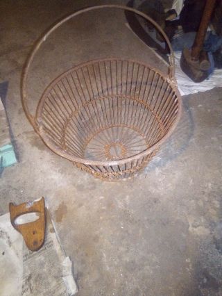 Vintage Metal Clamming Basket