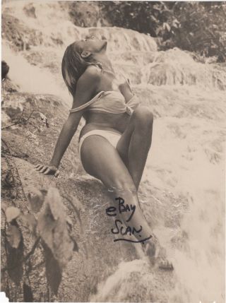 Ursula Andress Vintage Dr.  No Candid Photo Dunn 