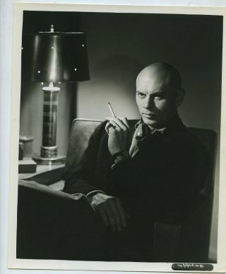 T479 Vintage Movie Actor 8x10 Photo,  Typed Biography Yul Brynner The King And I