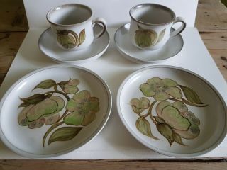 Vintage Denby Troubador 2 Trios Cup Saucer & Side Plate Green Magnolia Stoneware