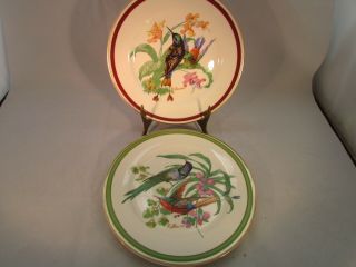 2 Vintage Porzellan Bavaria Germany Small Bird Plates Porcelain Signed R Fimmer