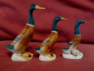 Three Retired Highly Collectable Vintage Beswick Mallard Duck Standing 756/2