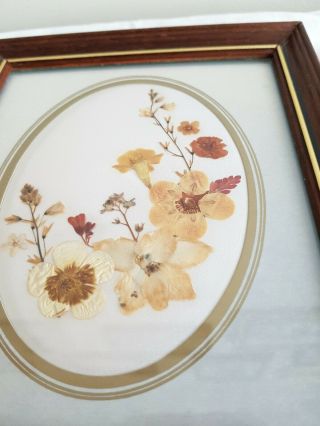 Vintage Irish Flora Originals Framed Dried Flowers Newmarket - on - Fergus Ireland 2