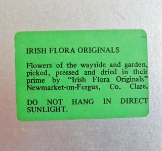 Vintage Irish Flora Originals Framed Dried Flowers Newmarket - on - Fergus Ireland 4