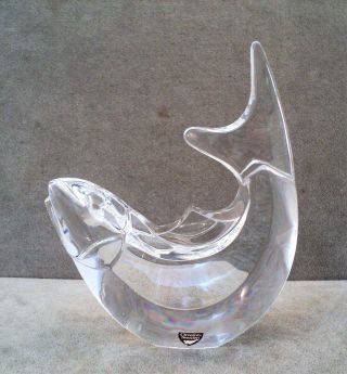 Vtg Orrefors Sweden Crystal Curved Fish Sculpture Paperweight - Signed 6 " Tall