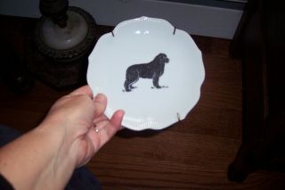 Vintage Newfoundland ?? Dog Collectors Plate