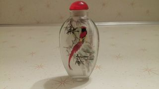 Vintage Chinese Reverse Painted Glass Snuff Bottle 2 Sided Bird Theme