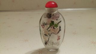Vintage Chinese Reverse Painted Glass Snuff Bottle 2 Sided Bird Theme 2