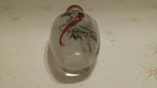Vintage Chinese Reverse Painted Glass Snuff Bottle 2 Sided Bird Theme 5