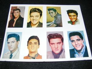Vintage Elvis Presley Collectible 8 X 10 Color Photo Proof Sheet 8 Images Cool