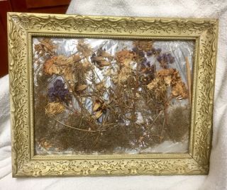 Large Vintage Pressed Dried Flowers In Gold Ornate Frame Foil Background 19”x15”