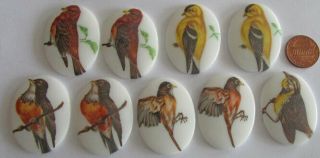 9 Vintage German Glass Huge White Oval Bird - Picture Stones 40mm X 20mm