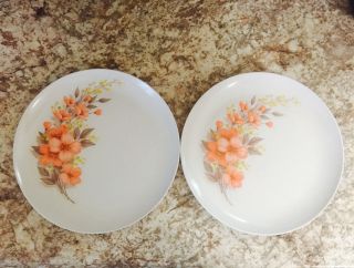 Set Of 2 Vintage Mar - Crest Melmac White Floral Dinner Plates