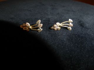 Vintage 10k Tri Colored Black Hills Gold Post Pierced Earrings 1 Gram Not Scrap