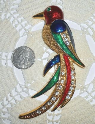 Vintage Bird Of Paradise Enamel Brooch Pin Gold Tone Clear Rhinestones 4.  5 "