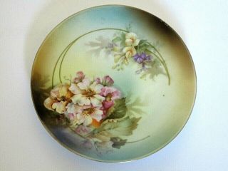 Vintage R S Germany Hand Painted Porcelain Plate