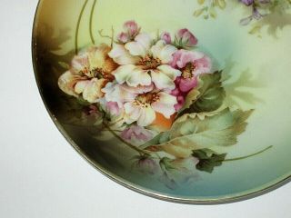 VINTAGE R S GERMANY HAND PAINTED PORCELAIN PLATE 2