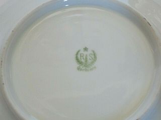 VINTAGE R S GERMANY HAND PAINTED PORCELAIN PLATE 3
