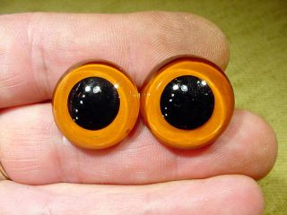 A Pair Vintage Solid Glass Eyes Size 22 Mm Teady Bear Taxidermy Age 1910 Art A94
